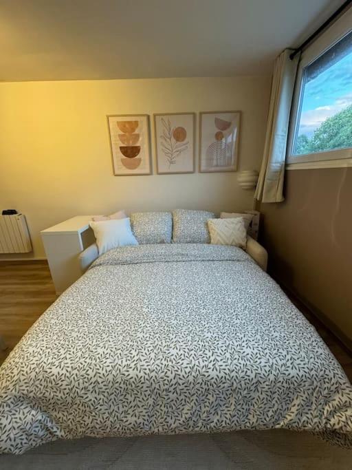 Studio Cosy Au Coeur Du Haut-Jura Foncine-le-Bas 외부 사진